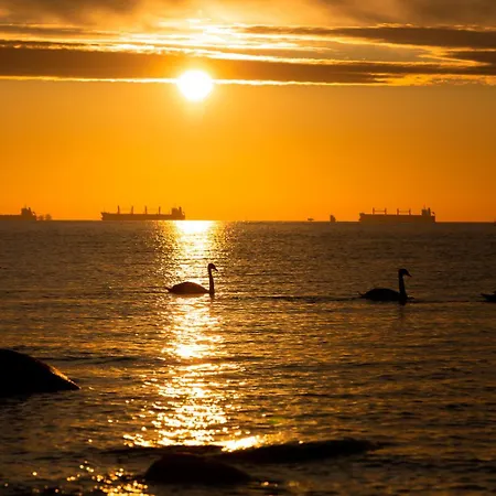 Lägenhetshotell Moon *